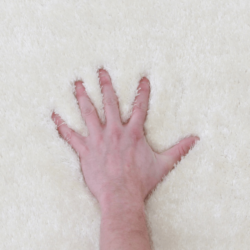 koberec biely kremova amida 11