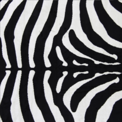koberec vzor zebra arwen 08