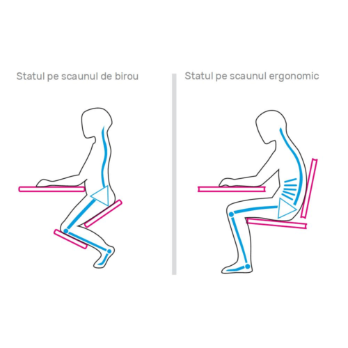scaunul ergonomic 1