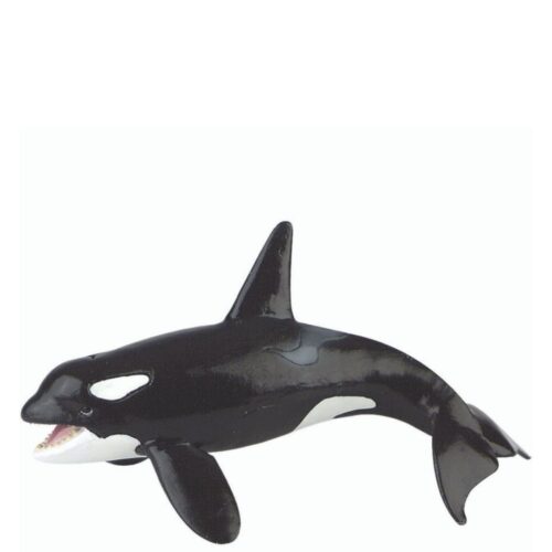 Balena Orca