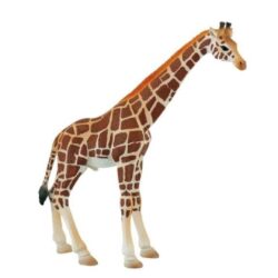 Figurina girafa mascul 20 cm