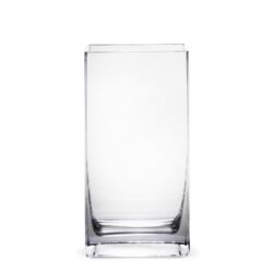 Vaza de sticla transparenta 24x12x8 cm