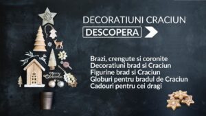 Decoratiuni de Craciun amsieu.ro
