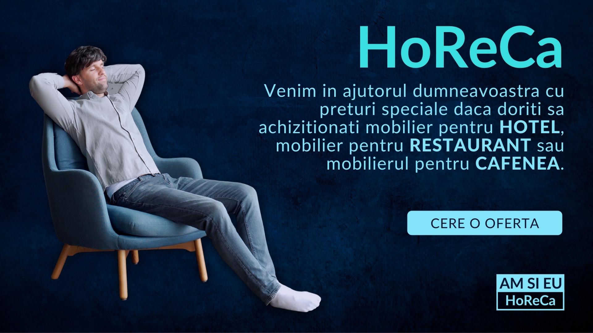Mobilier HoReCa amsieu.ro