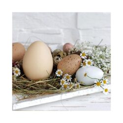 Servetele de masa 33x33 cm Pastel Eggs Ambiente