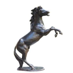 Statuie bronz Cal mic 24x19x7 cm2