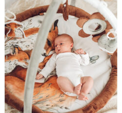 salteluta cu arcada interactiva pentru copii si bebelusi activitati cu jucarii senzoriale fox 538984