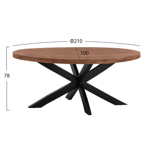 Masa dining ovala lemn masiv mango picioare metalice 210x100x78 cm2 1