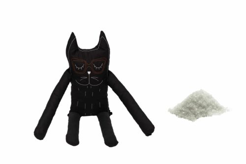 perna pisica neagra 2 scaled 1