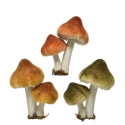 Decoratiune ciuperci clips 5x7x9 cm