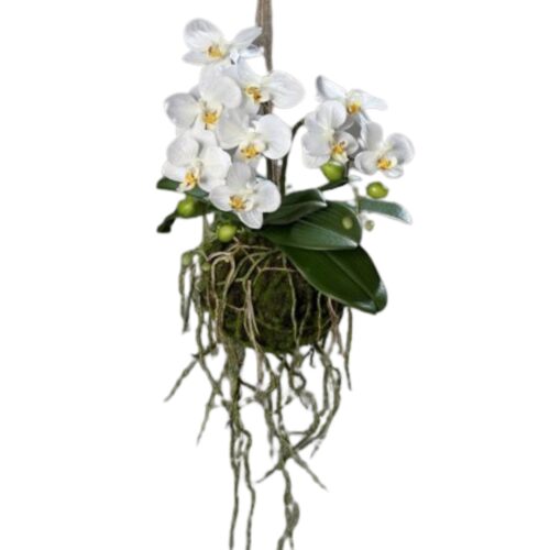 Aranjament orhidee artificiala cu sfoara – 43 cm