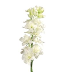 Delphinium nemtisor artificial alb – 82 cm