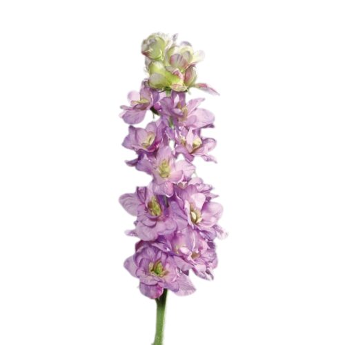 Delphinium nemtisor artificial mov – 82 cm