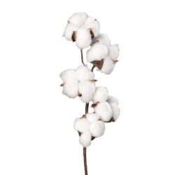 Flori de bumbac artificiale albe – 49 cm