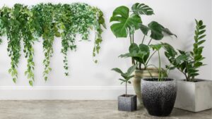 Articol blog Flori si plante artificiale amsieu.ro AM SI EU