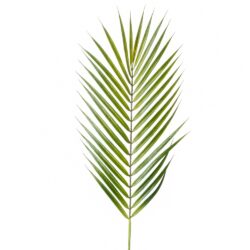 Frunza artificiala de palmier Chamaedorea verde – 75 cm