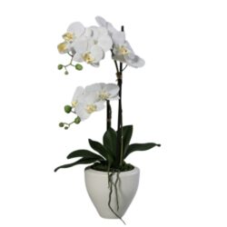 Orhidee artificiala alba in ghiveci ceramic - 57 cm