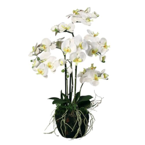 Orhidee artificiala crem pentru ghiveci – 77 cm