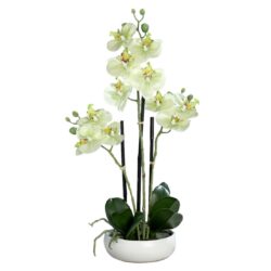 Orhidee artificiala verde-crem in ghiveci ceramic – 36 cm