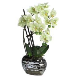 Orhidee artificiala verde-crem in ghiveci ceramic – 50 cm