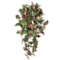 Tradescantia, planta curgatoare artificiala verde – 50 cm