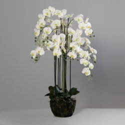 orhidee artificiala crem pentru ghiveci 140 cm 60485 05 220