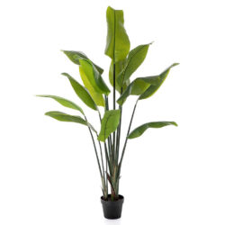 planta artificiala strelitzia palm in ghiveci 150cm 1352n 150