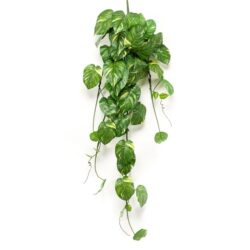 Pothos planta artificiala curgatoare verde-crem - 135 cm