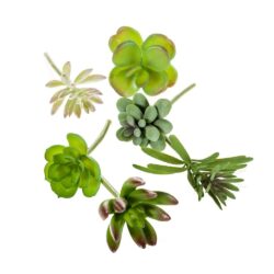 set x6 plante suculente artificiale decorative 419171 312
