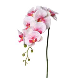Orhidee artificiala fir roz-crem – 83 cm
