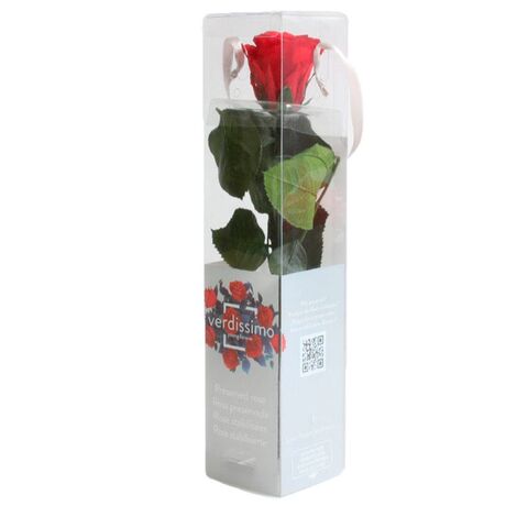 Trandafir criogenat cu tija Verdissimo 27 cm