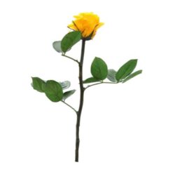 Trandafir criogenat cu tija Verdissimo 27 cm8