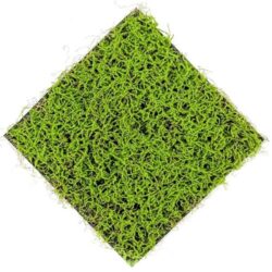 covor iarba artificiala verde deschis 50x50 cm 2120