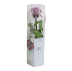decodepot trandafir criogenat lila 4