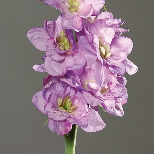 delphinium nemtisor artificial mov 82 cm 1942