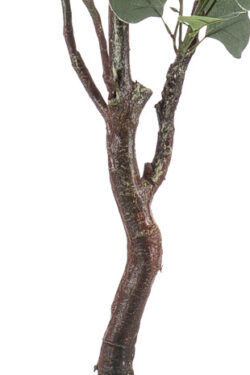 eucalipt artificial decorativ in ghiveci 140 cm 2462