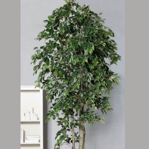 ficus artificial gigant benjamina in ghiveci din plastic 300 cm 2457