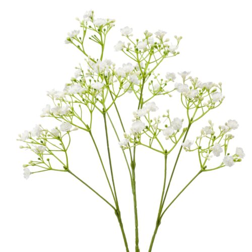 flori artificiale decorative albe 1878