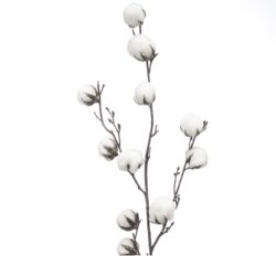 flori de bumbac artificiale albe 989