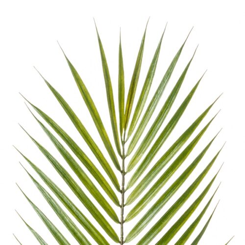 frunza artificiala de palmier chamaedorea verde 75 cm 2311