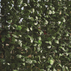 gard artificial hedera 1x3m 1350