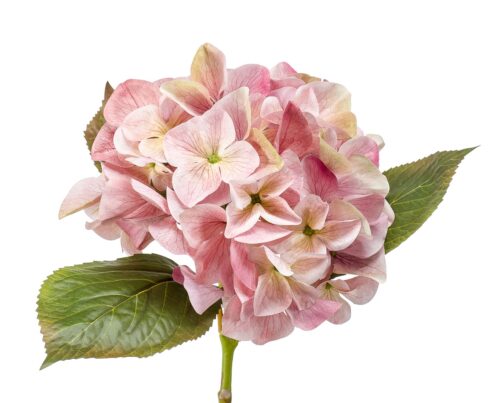 hortensie artificiala roz crem 47 cm 1233
