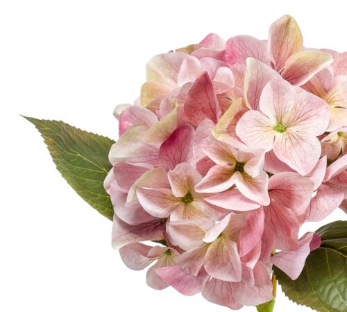 hortensie artificiala roz crem 47 cm 1234