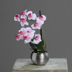 orhidee artificiala alb roz in ghiveci ceramic 30 cm 850