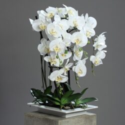 orhidee artificiala alba in ghiveci 956
