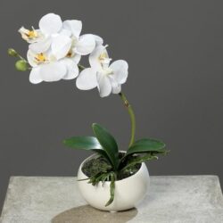 orhidee artificiala alba in ghiveci ceramic 25 cm 843