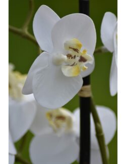 orhidee artificiala alba in ghiveci ceramic 30 cm 859