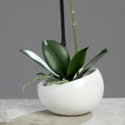 orhidee artificiala alba in ghiveci ceramic 40 cm 948