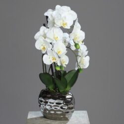 orhidee artificiala alba in ghiveci ceramic 50 cm 834