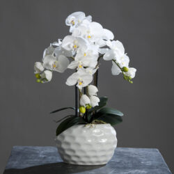 orhidee artificiala alba in ghiveci ceramic 59 cm 1018
